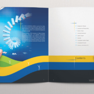 Professional Annual Report Design Services in South Melbourne for Impactful Presentations